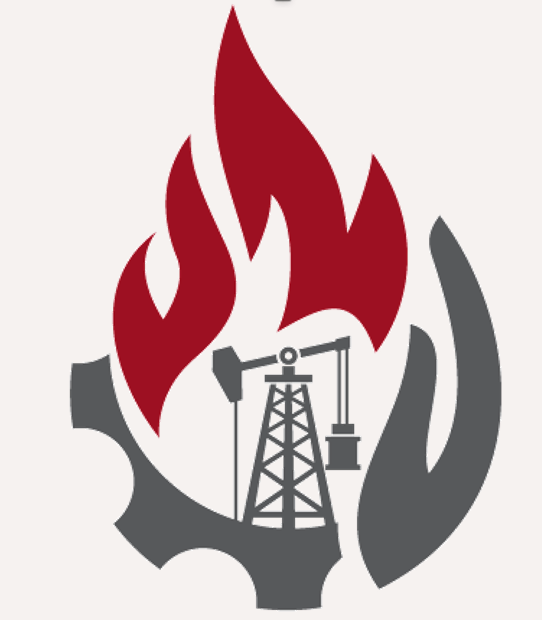 PETRONAIM Logo